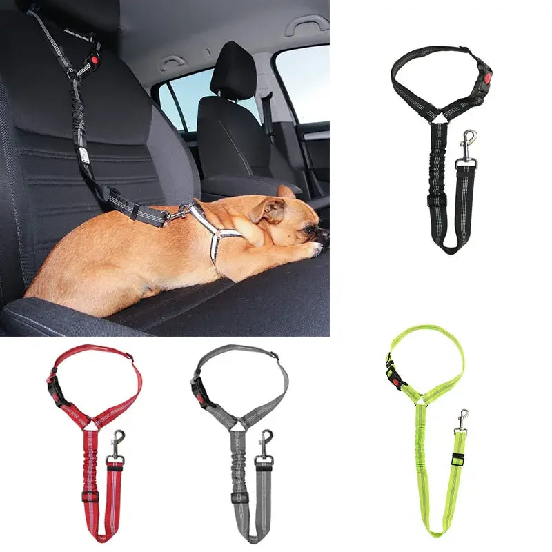 Ceinture de sécurité de voiture pour animaux de compagnie, collier de chiot, marche, voyage, accessoires de voiture, laisse pour chat, SFP, petits chiens, fournitures pour animaux de compagnie